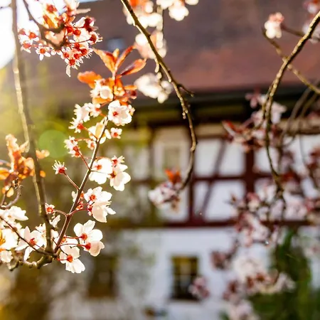 Auengut Guest house