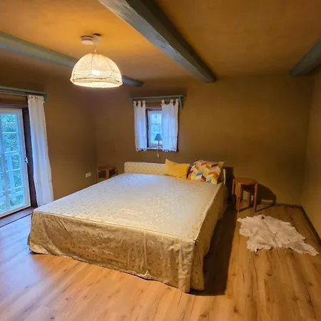 Auengut Guest house Bertsdorf
