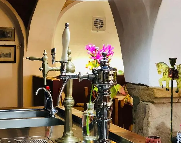 Апартаменты Auengut-bertsdorf *